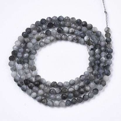 Natural Hawk's Eye Beads Strands, Eagle Eye Stone, Round, Faceted