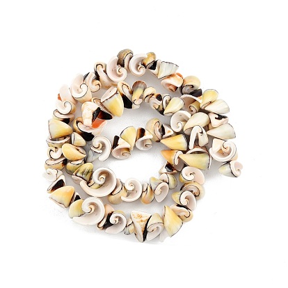 Natural Spiral Shell Beads Strands, Cone