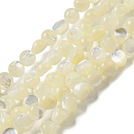Brins de perles de coquillage blanc naturel, plat rond