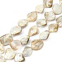 Handmade Shell Beads Strands, Rhombus, Goldenrod