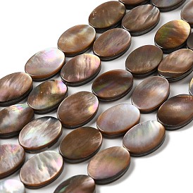 Natural Sea Shell Beads Strands, Flat Oval