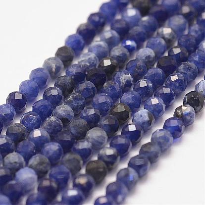 Natural Sodalite Bead Strands, Faceted, Round