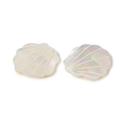 Natural Sea Shell Pendants, Shell Shape Charms
