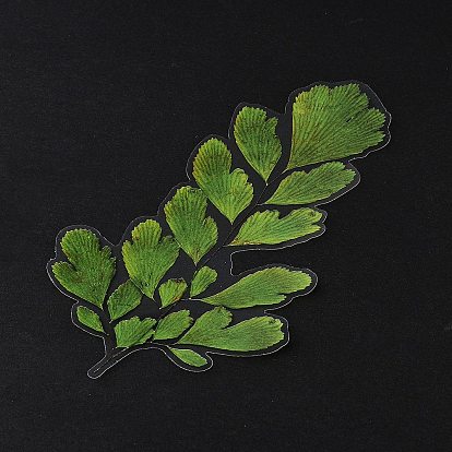 6Pcs PET Self Adhesive Plant Decorative Stickers, Waterproof Vintage Floral Decals, for DIY Scrapbooking