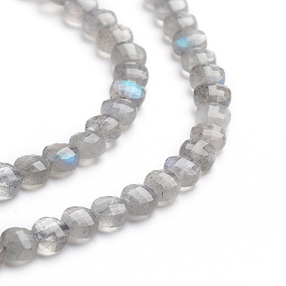 Natural Labradorite Beads Strands, Flat Round, Faceted