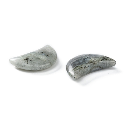 Natural Labradorite Beads, No Hole/Undrilled, for Wire Wrapped Pendant Making, Moon