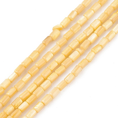 Natural Freshwater Shell Dyed Beads Strands, Column
