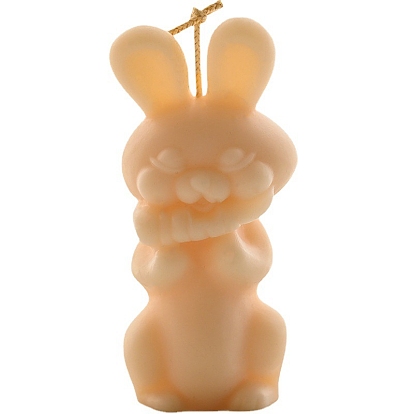 Пасхальный кролик своими руками акриловые формы для свечей, для изготовления ароматических свечей