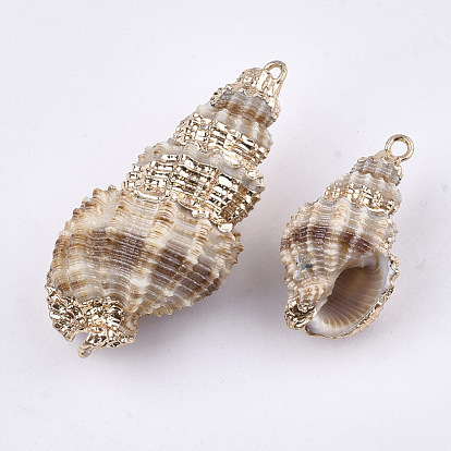Galvanoplastie en spirale coquille pendentifs, avec les accessoires en fer, or et de lumière