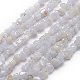 Natural Blue Lace Agate Beads Strands, Chip