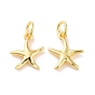 Encantos de bronce, con anillo de salto, sin plomo y cadmio, estrella de mar