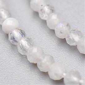 Natural Rainbow Moonstone Bead Strands, Faceted, Round