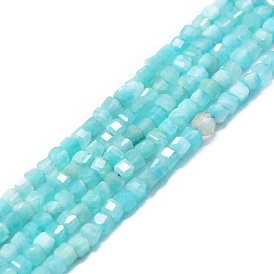 Chapelets de perles amazonite naturelles  , facette, cube