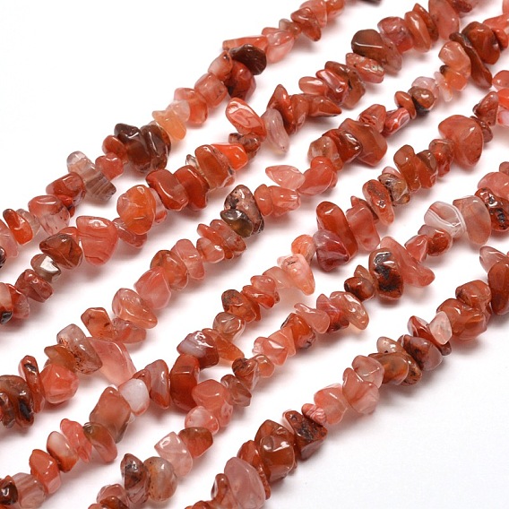 Natural South Red Agate Chip Bead Strands, 5~8x5~8mm, Hole: 1mm, about 31.5 inch