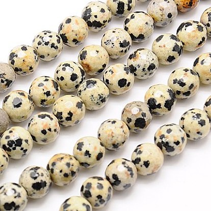 Natural Dalmation Jasper Beads Strands, Faceted, Round