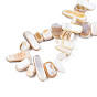 Natural Trochid Shell/Trochus Shell Beads Strands, Undyed, Rectangle