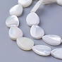 Shell Beads Strands, Drop