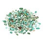 Natural Amazonite Chip Beads, No Hole/Undrilled