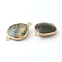 Labradorite Links Connectors, with Golden Tone Brass Findings, Faceted Teardrop