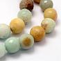 Faceted Natural Flower Amazonite Beads Strands, Round