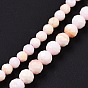 Natural Shell Beads, Faceted, Round