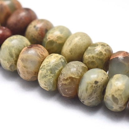 Perles de jaspe naturel aqua terra, rondelle