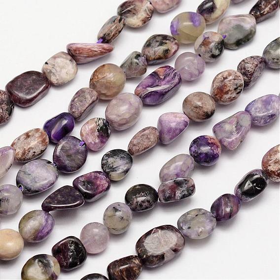Hebras de perlas naturales charoite, piedra caída, pepitas, 3~14x3~14 mm, agujero: 1 mm, alrededor de 15.35 pulgada