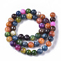 Freshwater Shell Beads Strands, Dyed, Round
