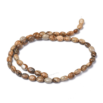Natural Picture Jasper Beads Strands, Oval