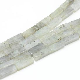 Labradorite naturelle rangées de perles, cuboïde