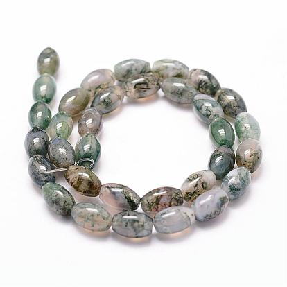 Natural Moss Agate Beads Strands, Rice