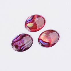 Gefärbte ovale Abalone-Muschel / Paua-Muschel-Cabochons, 10x8x1.5 mm