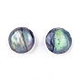 Natural Abalone Shell/Paua Shell Stud Earrings, with 304 Stainless Steel Findings and Cardboard Jewelry Boxes