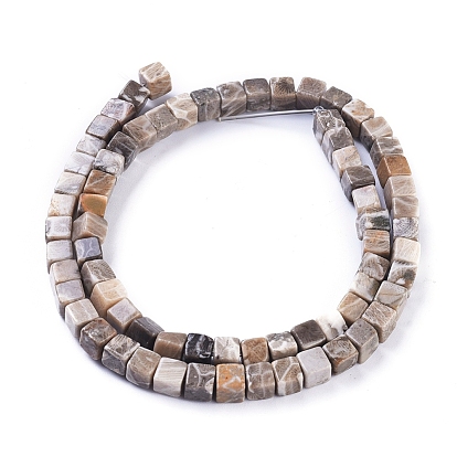 Natural Fossil Coral Beads Strands, Cube