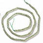 Natural Apatite Beads Strands, Rondelle, Faceted