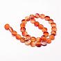 Natural Carnelian Beads Strands, Dyed & Heated, Flat Round