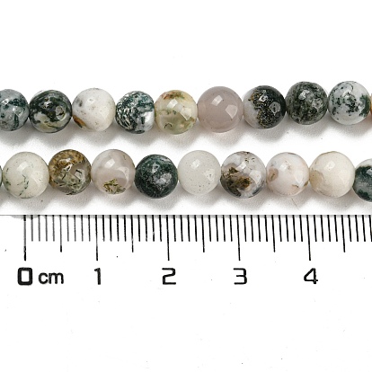 Natural Tree Agate Round Gemstone Beads Strands