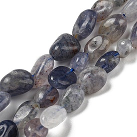Natural Iolite Beads Strands, Nuggets, Tumbled Stone