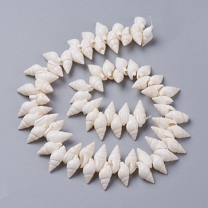 Naturelles en spirale de Shell brins de perles