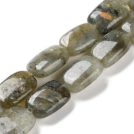 Natural Labradorite Beads Strands, Rectangle