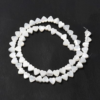 Brins de perles de coquille de trochid / trochus shell, cœur