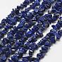 Natural Lapis Lazuli Beads Strands, Chip, Grade A