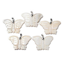 Natural Freshwater Shell Pendants, Butterfly Charms with Brass Snap on Bails