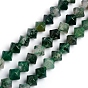 Natural Moss Agate Beads Strands, Bicone