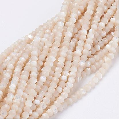 Chapelets de perles de coquillage naturel, ronde, facette, ronde
