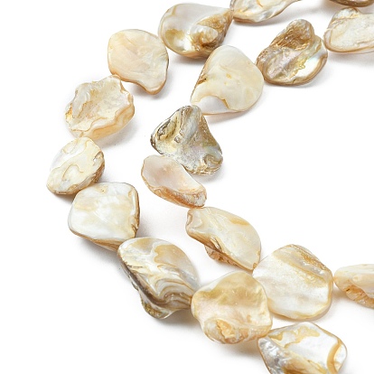 Handmade Shell Beads Strands, Rhombus, Goldenrod