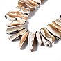Natural Trochid Shell/Trochus Shell Beads Strands, Nugget Stick