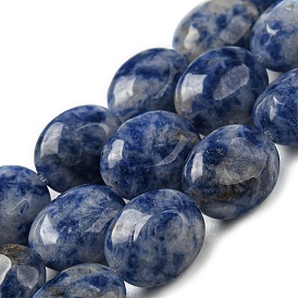 Perles de jaspe tache bleue naturelle, Ovale Plat