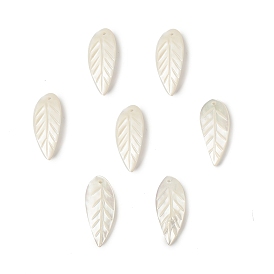 Natural Sea Shell Pendants, Leaf Charms