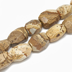 Natural Picture Jasper Beads Strands, Nuggets
